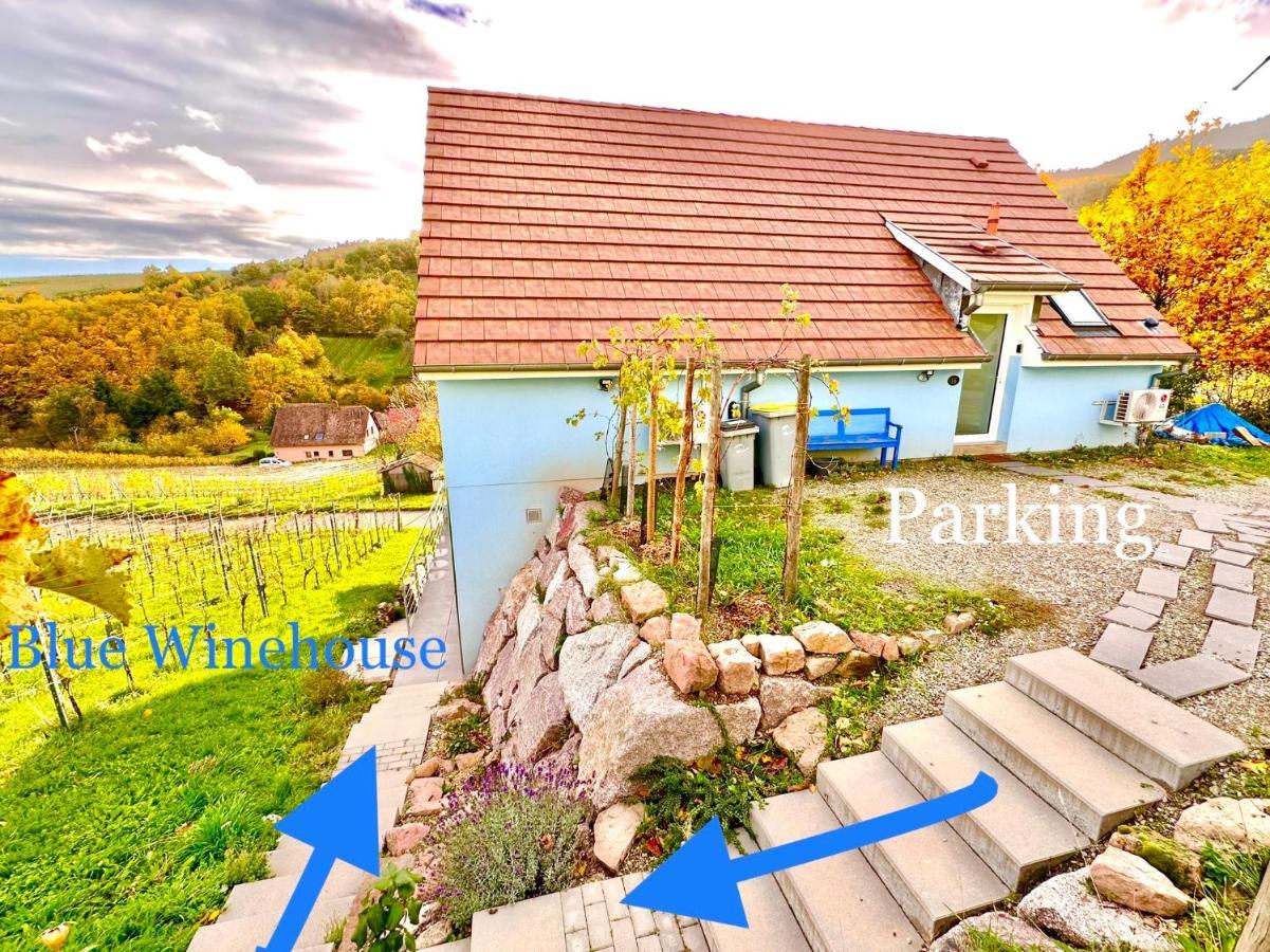 Janea Big Blue House Apartment Reichsfeld Exterior photo